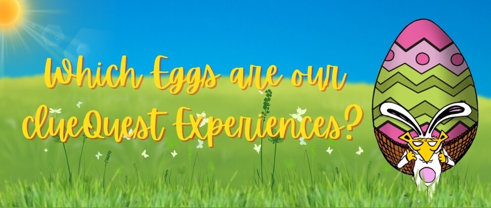 which-eggs-are-our-experiences